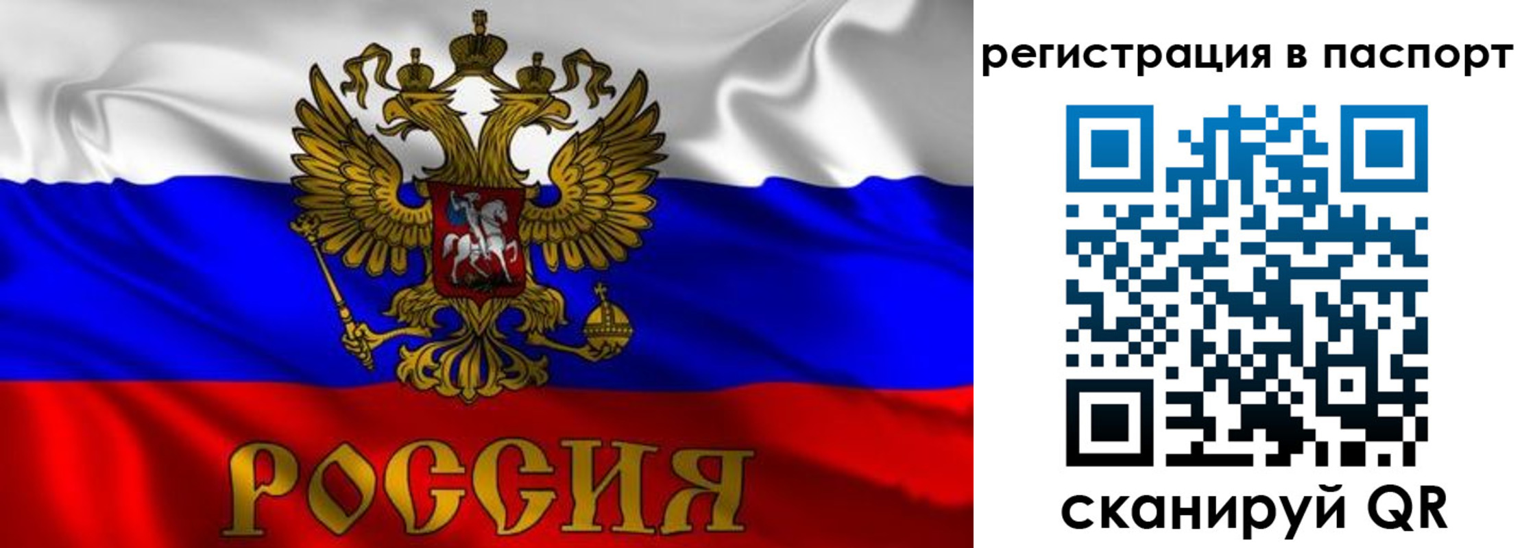 найти адрес прописки в Бородино